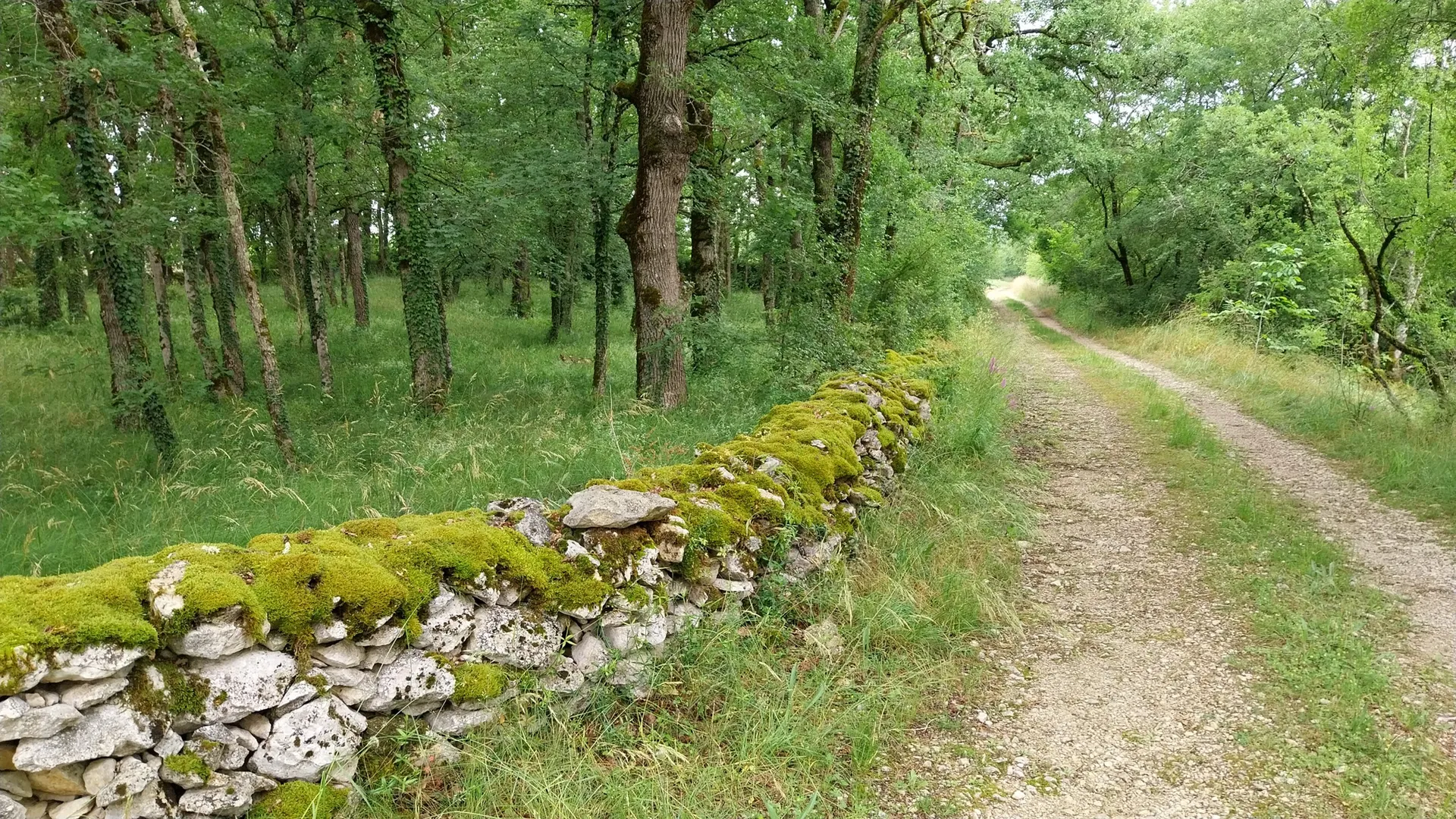 Walking holidays for couples - South West France