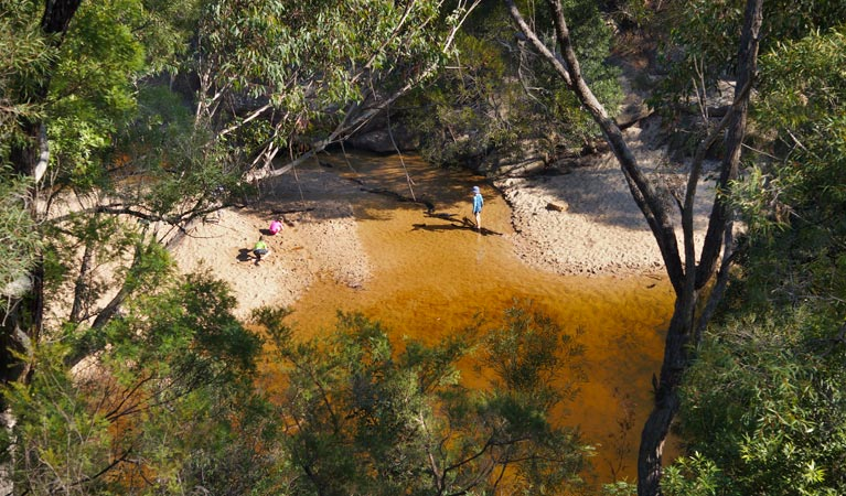 Natural swimming in the Blue Mountains