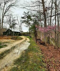 Springtime at Larkspur
