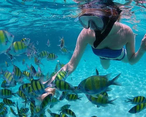 Snorkeling