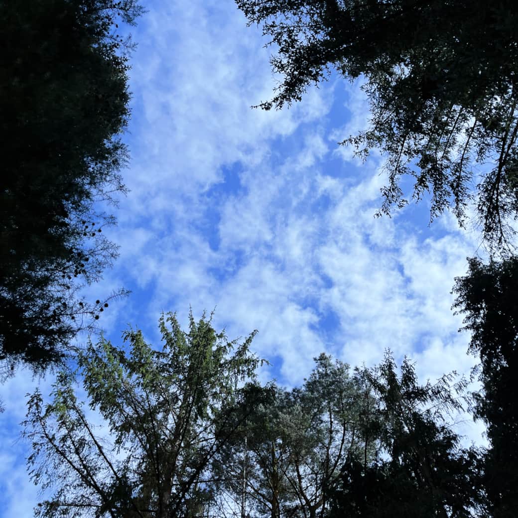 9886BAEE A150 4617 ABBE FBBD0101106F