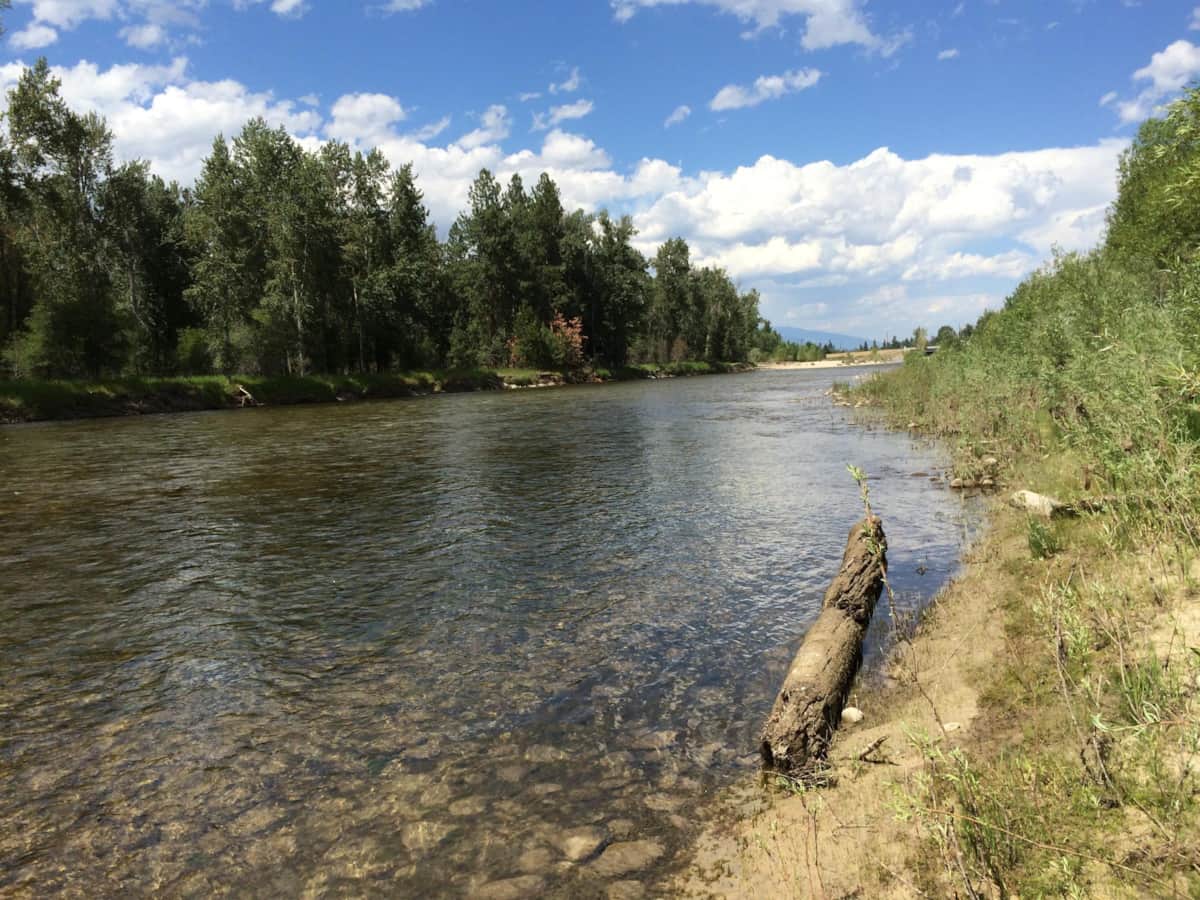 Wilderness Spirit Cabins, pet friendly vacation cabin rentals, Corvallis MT