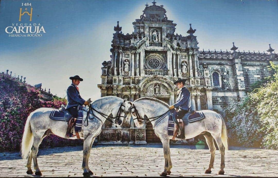 Monasterio de la Cartuja de Jerez y Caballo Cartujano.