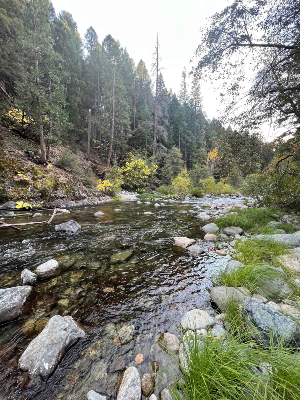 Yuba River Inn The Resort