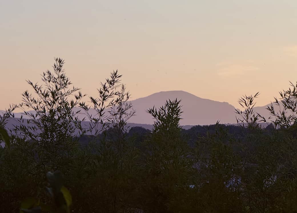 Sunset from garden