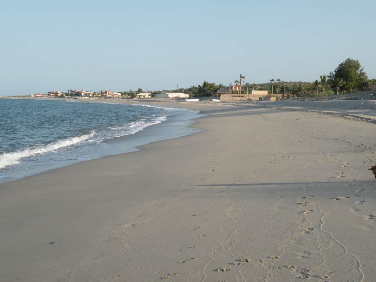 Sandy Beach - El Cardonal