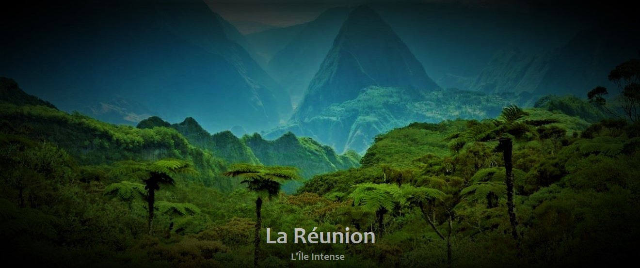 paysage foret jungle palmier montagne ton sombre