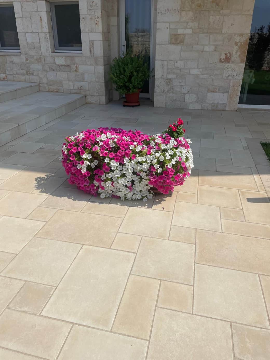 WhatsApp Image 2025-01-13 at 10.39