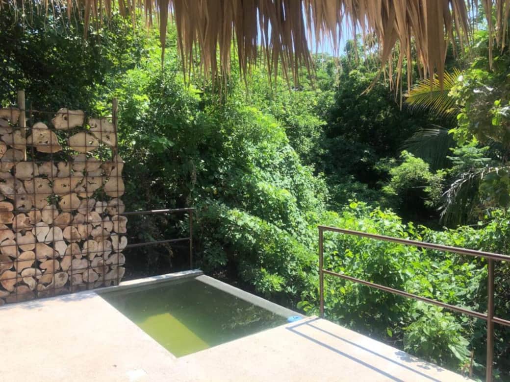 Una conexión con la naturaleza. Xolo - Puerto Escondido - OAX
