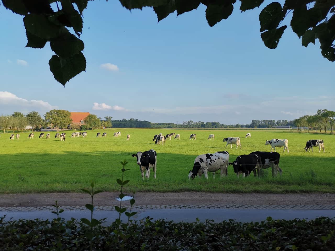 Uitzicht vanaf het appartement