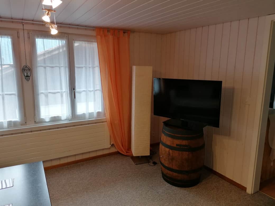 Fernsehr im Wohnzimmer