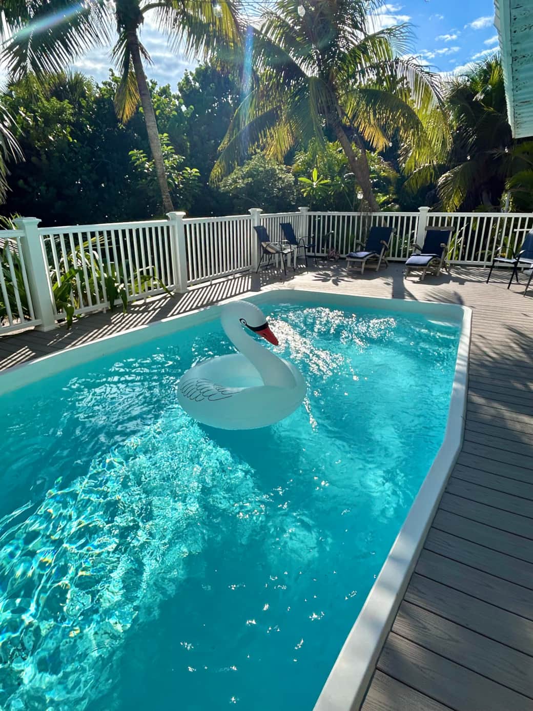 Las Olas Pool w Swan - 2025