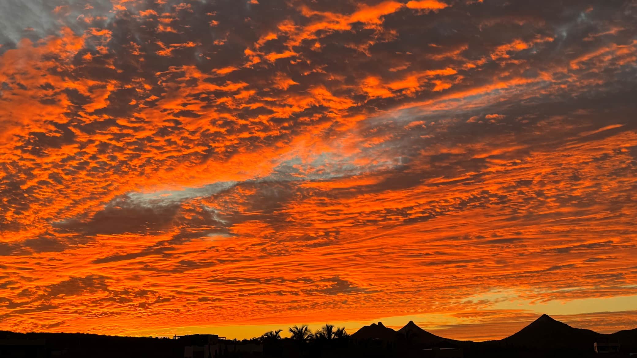 Sunsets from the Rooftop Patio Sunsets from the Rooftop Patio