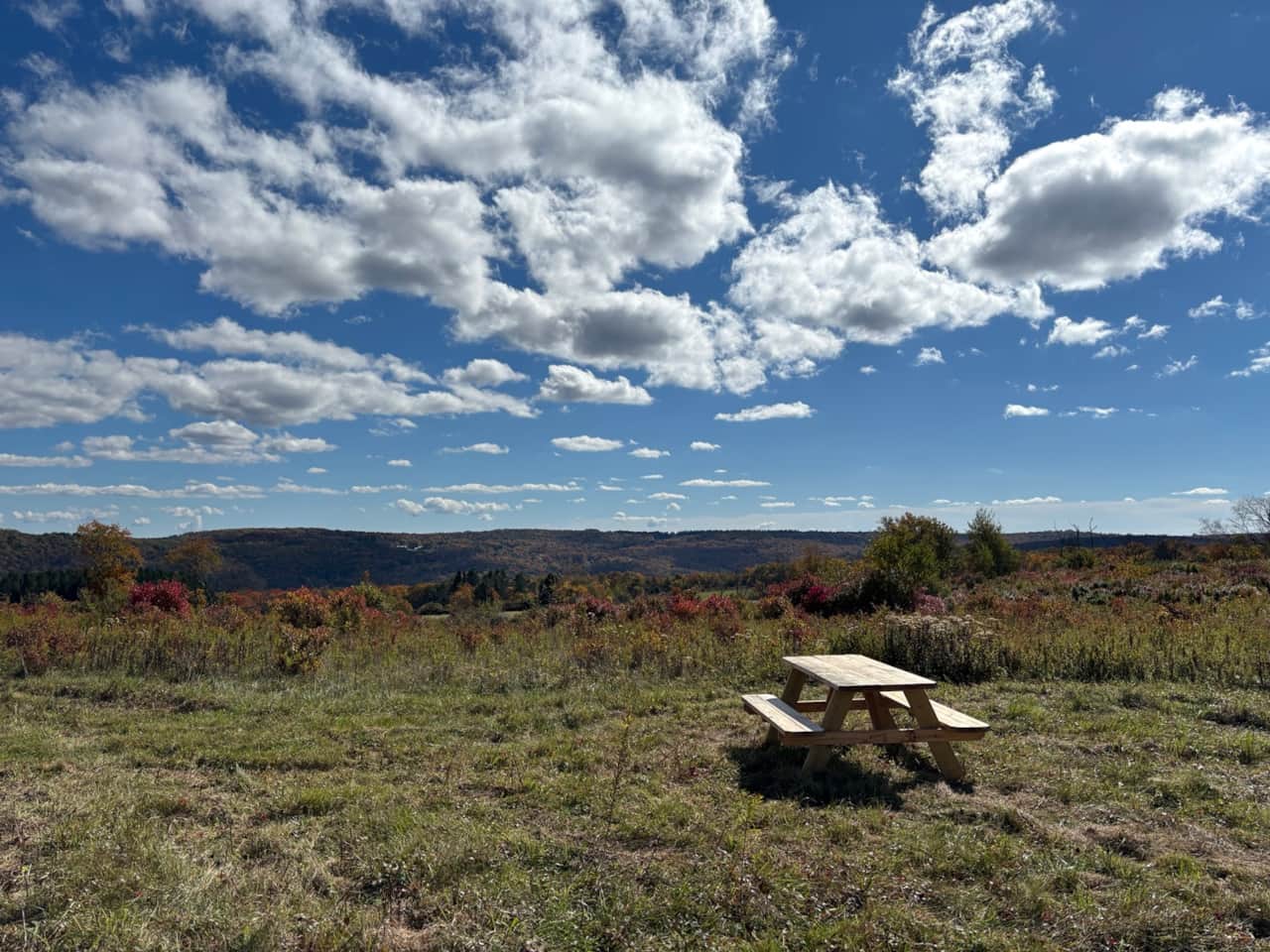 Woodland Overlook & Scenic Bench