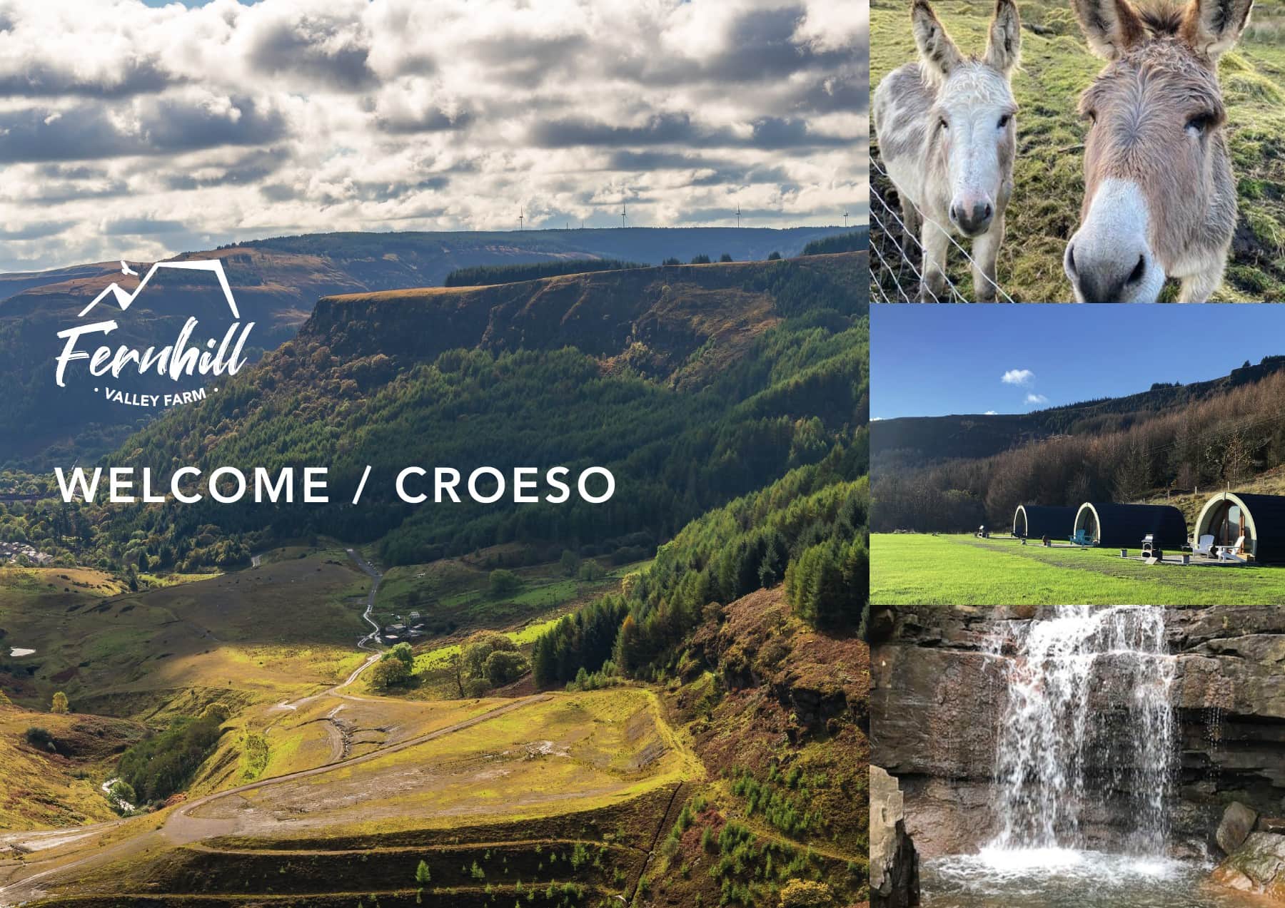 Fernhill-Welcome-Booklet-Page-01.jpg