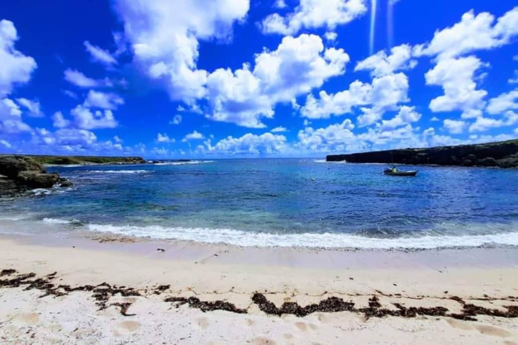 Le port de pêche de Baie Mahault