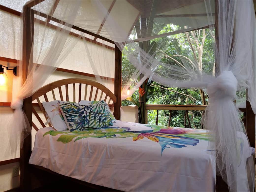 Sleep with the sounds of the jungle. 