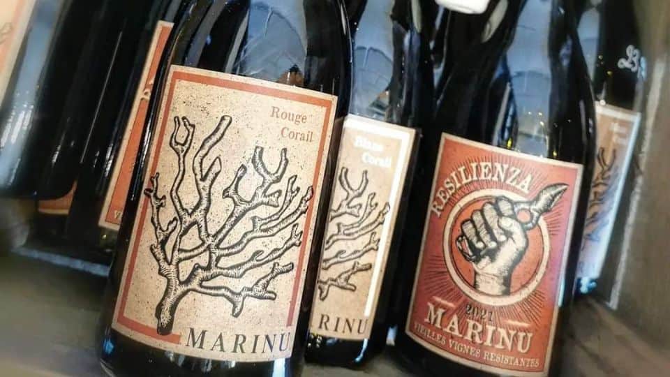 Vino local