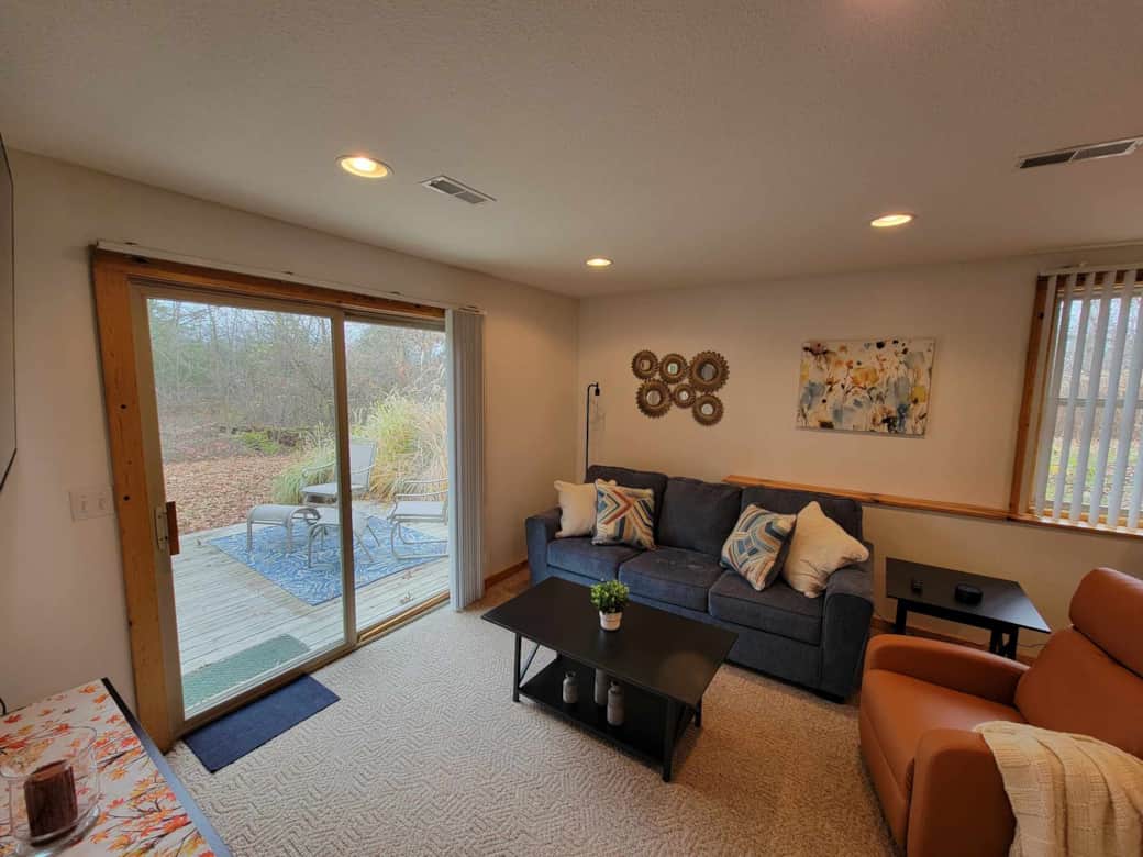 Lower-Level Living Room (with pull-out couch)