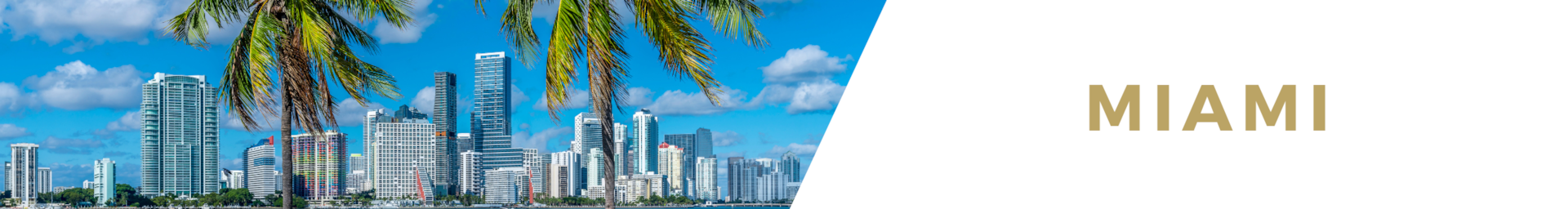 Miami Luxury Villa Rentals