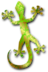 Perenquen