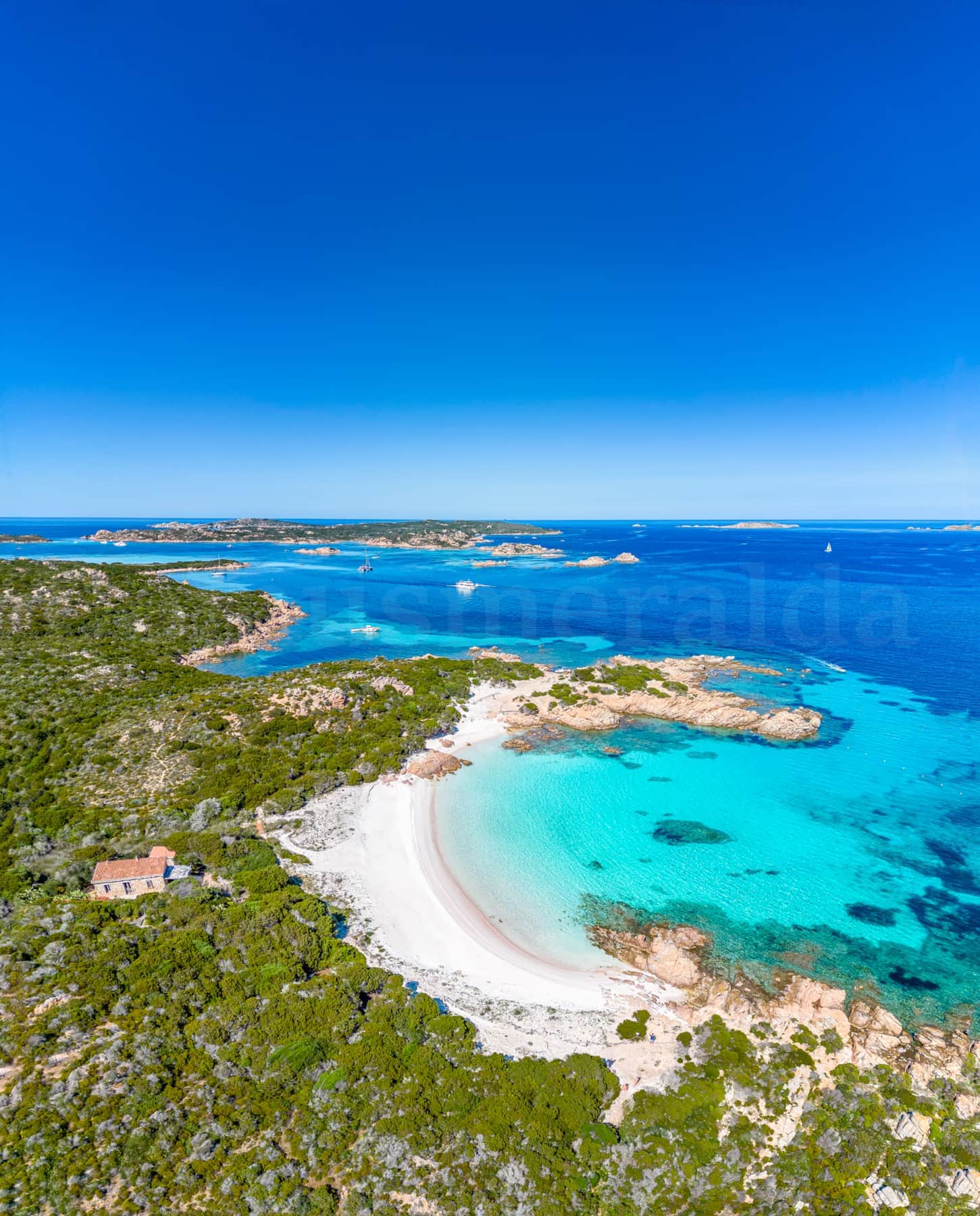 3. Spiaggia Rosa - Budelli Island.jpg