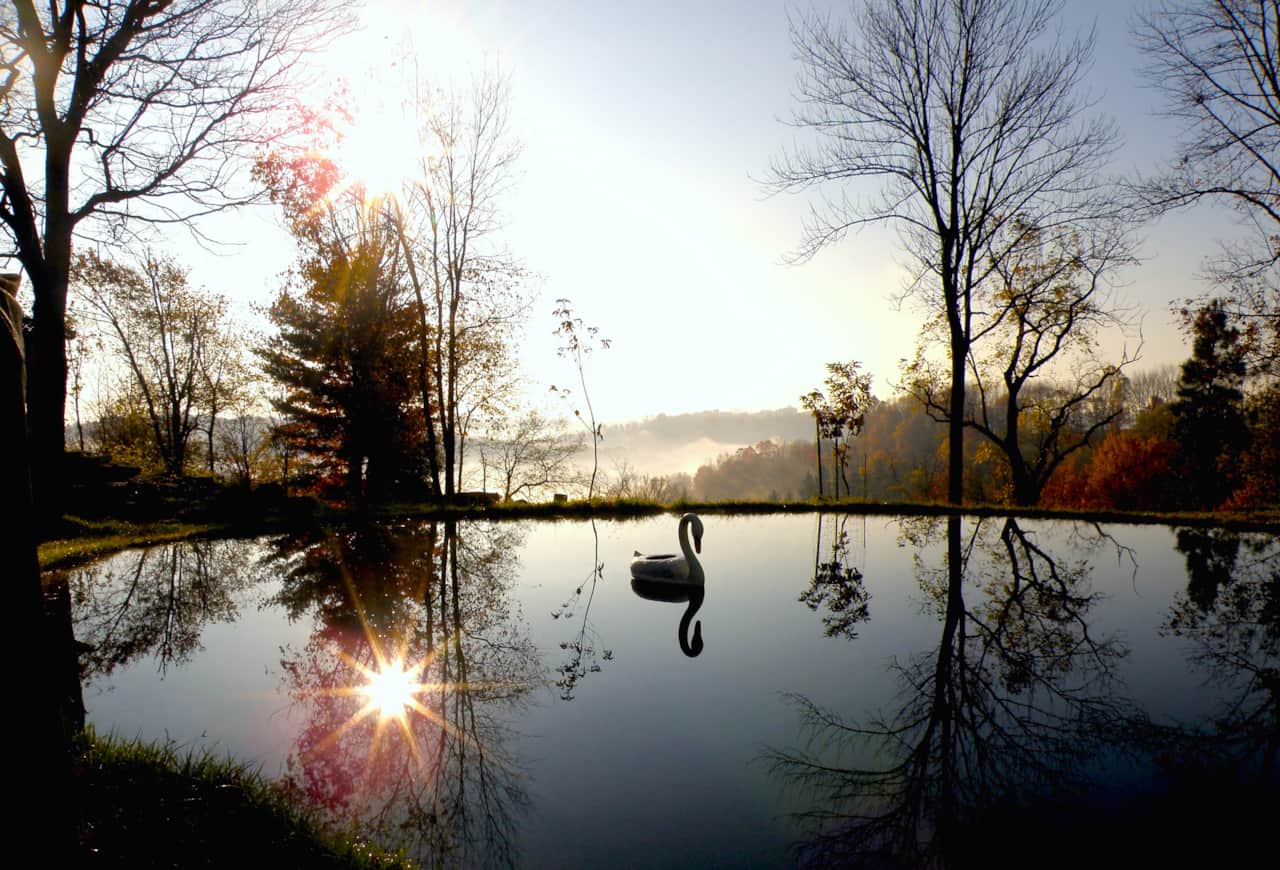 Radha Kunda Pond
