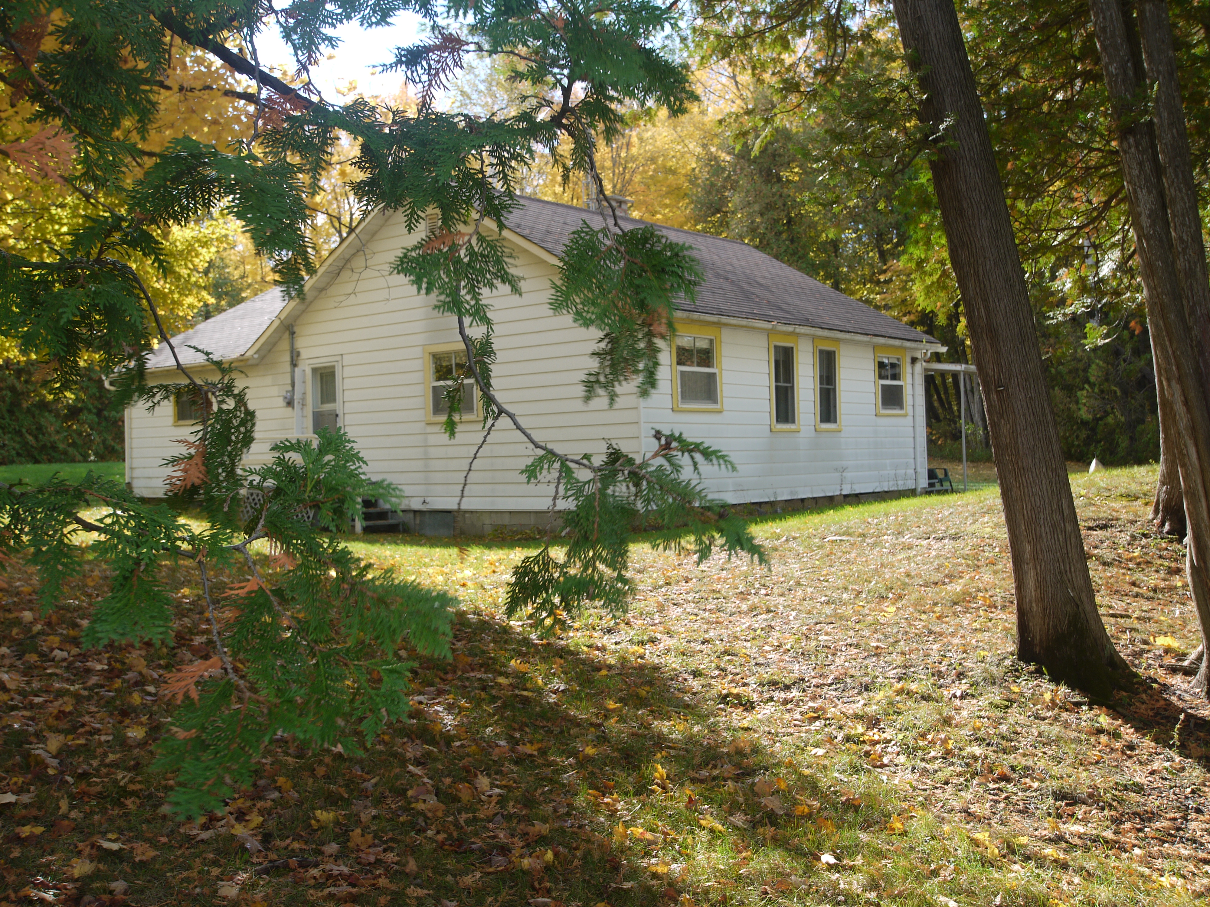 Tall Cedars Cabin In Portland