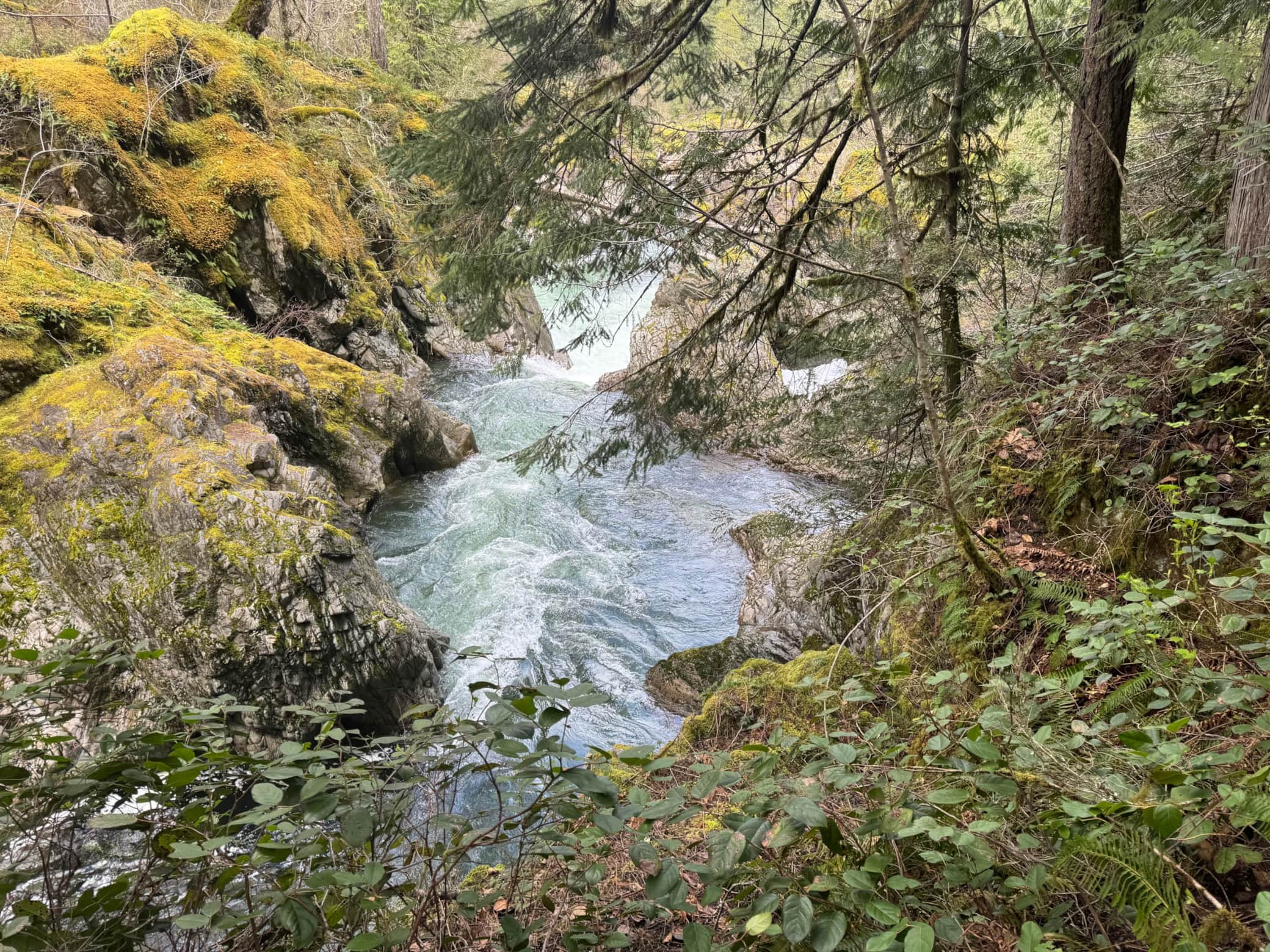 https://l.icdbcdn.com/oh/dd89c33c-f3d2-4b5b-b82b-7ba5dd89f01e.jpg?w=2080-5