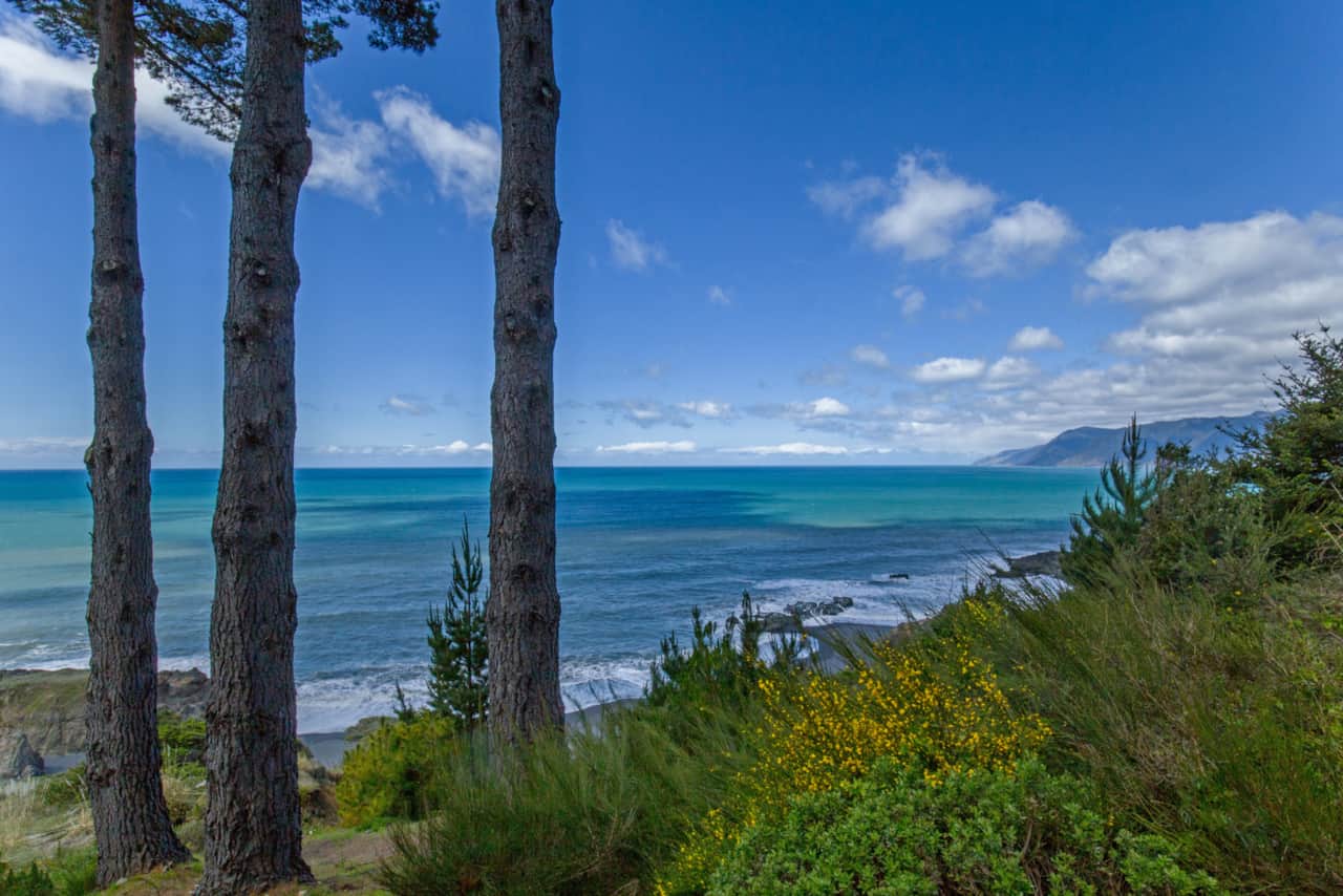 View from unit Breathtaking in Shelter Cove CA