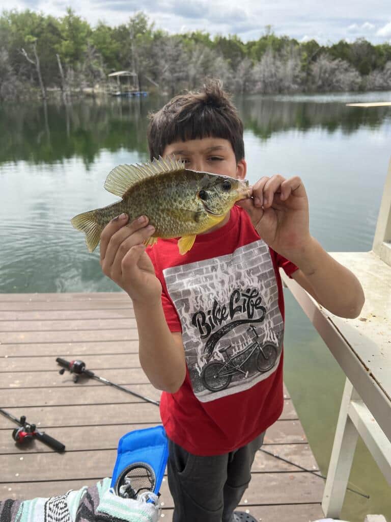 Lake Godstone Bluegill