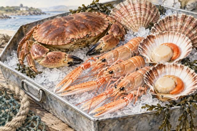 Watercolour illustration of fresh crab, langoustines and scallops