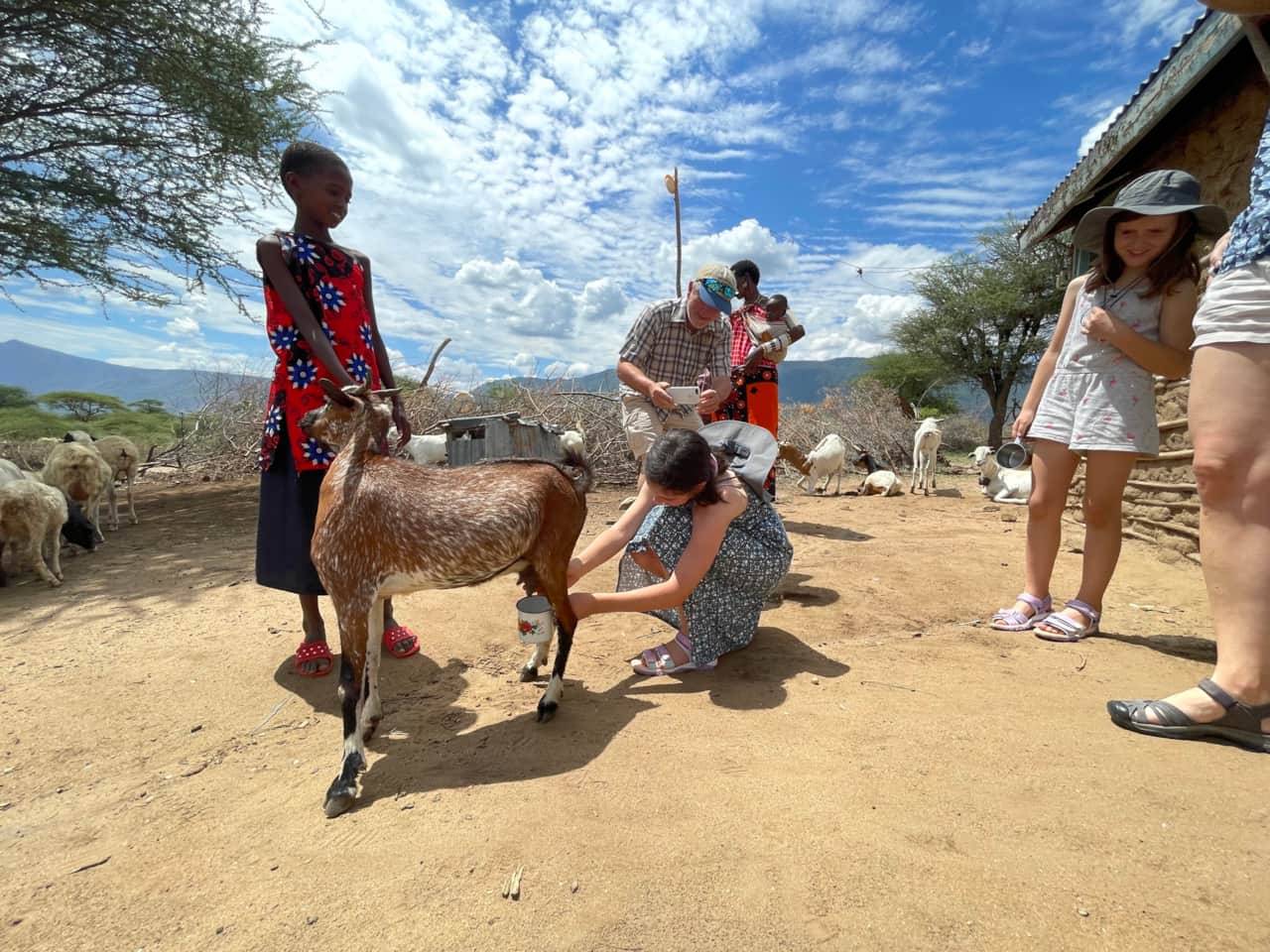 Visit a traditional village and learn about the Maasai way of life