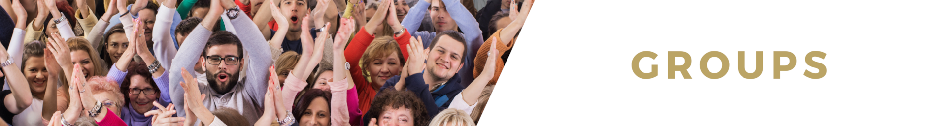 Large Group Villa rentals