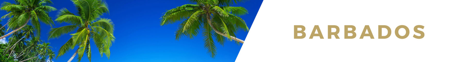 Barbados luxury villas