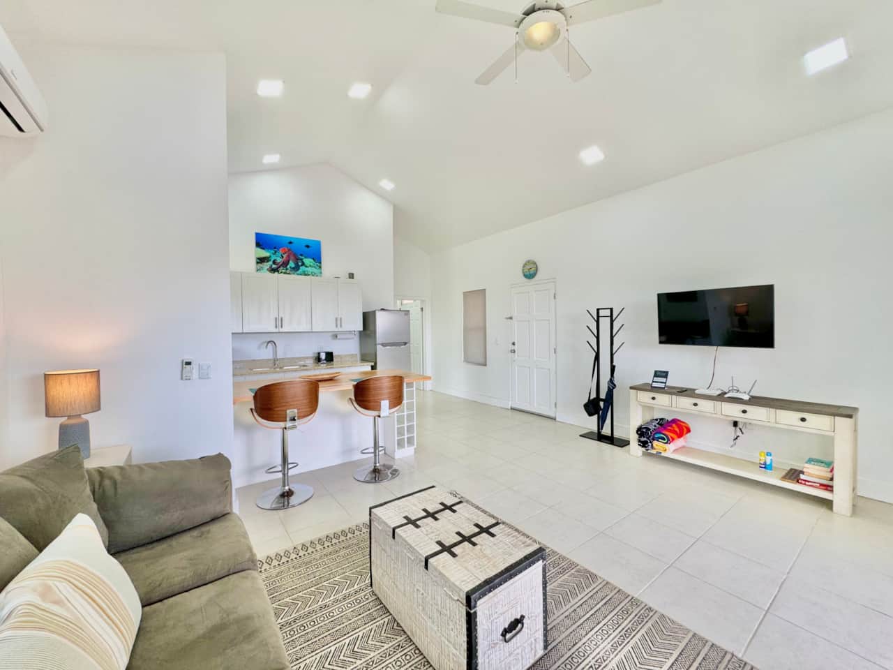 Living Room & Kitchen Area