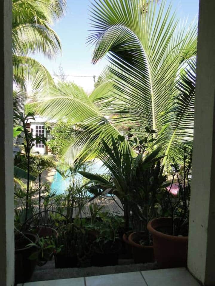 Piscine vue du Ravenale
