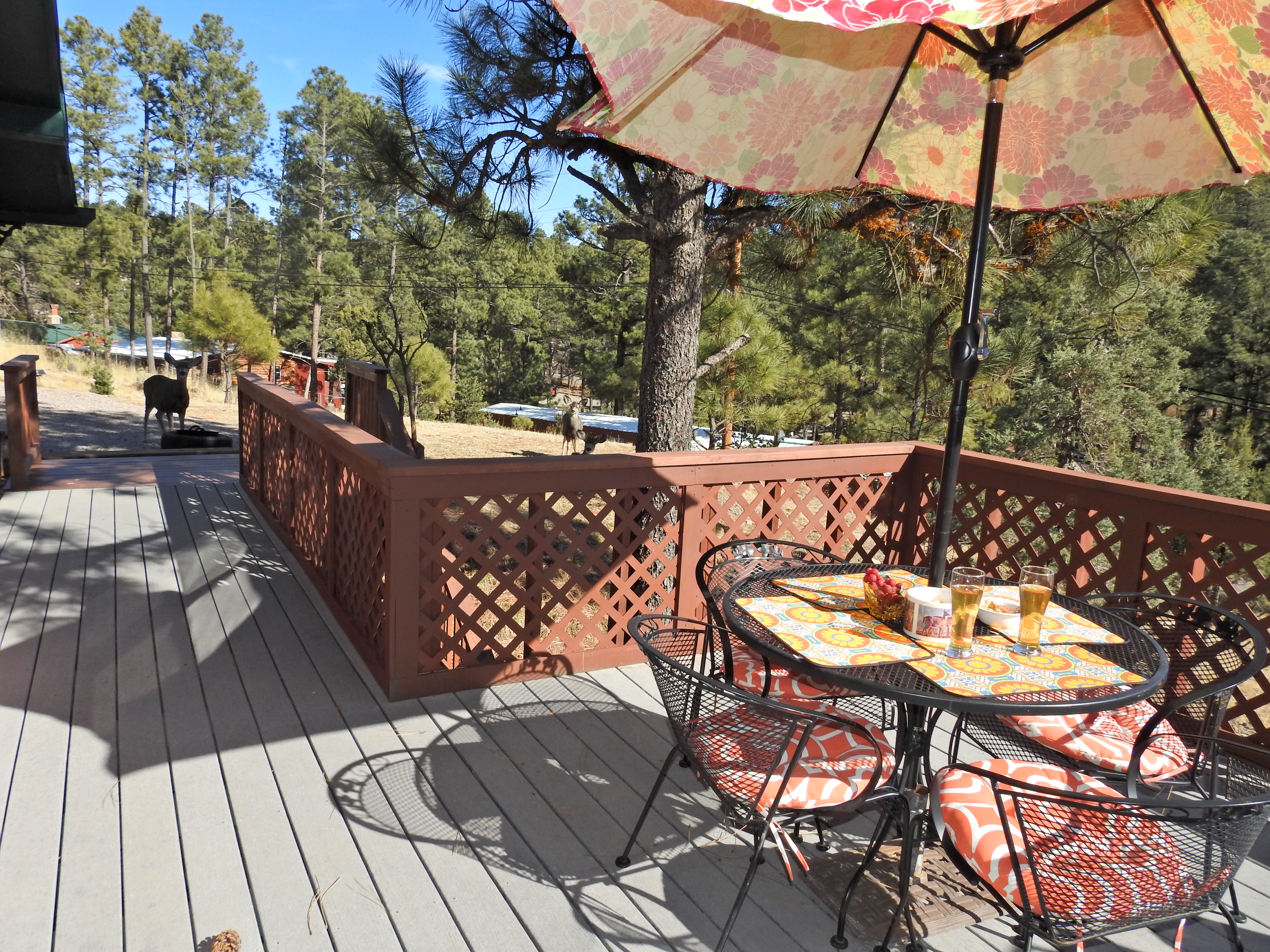 Upper Deck View