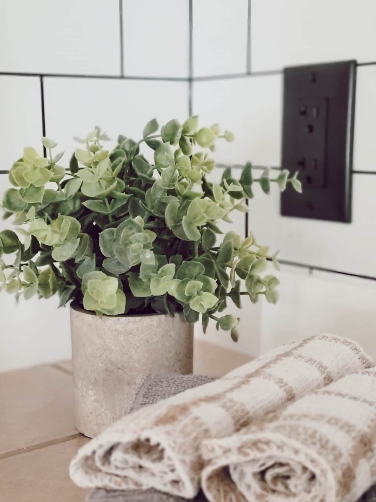 Cabin 2 | Kitchen Details