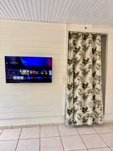 TV