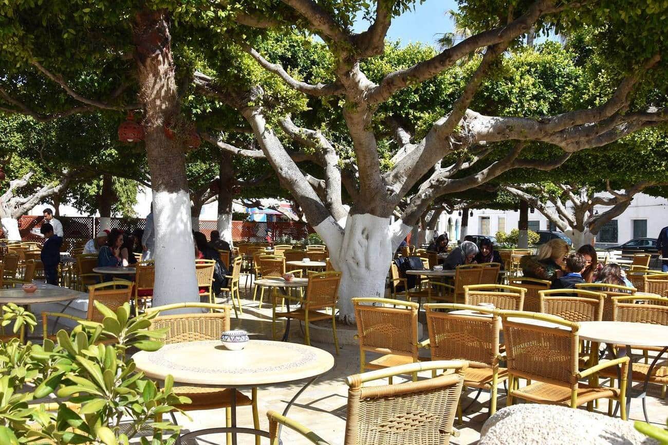 Café El Médina, Mahdia, Tunisie