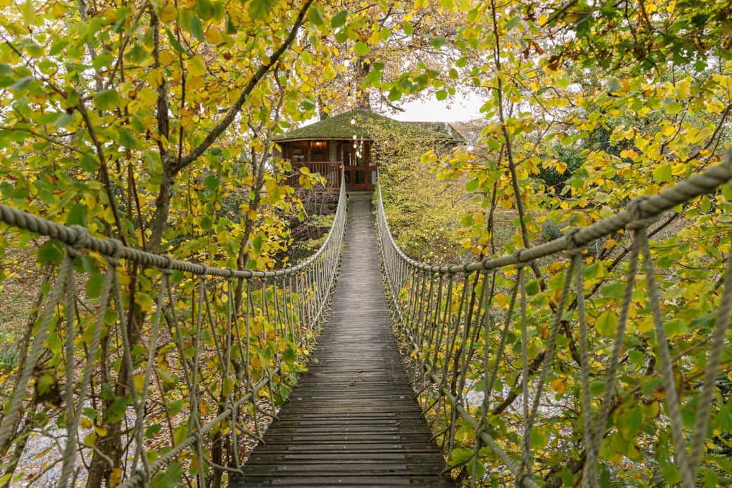 Entrance to Treehouse