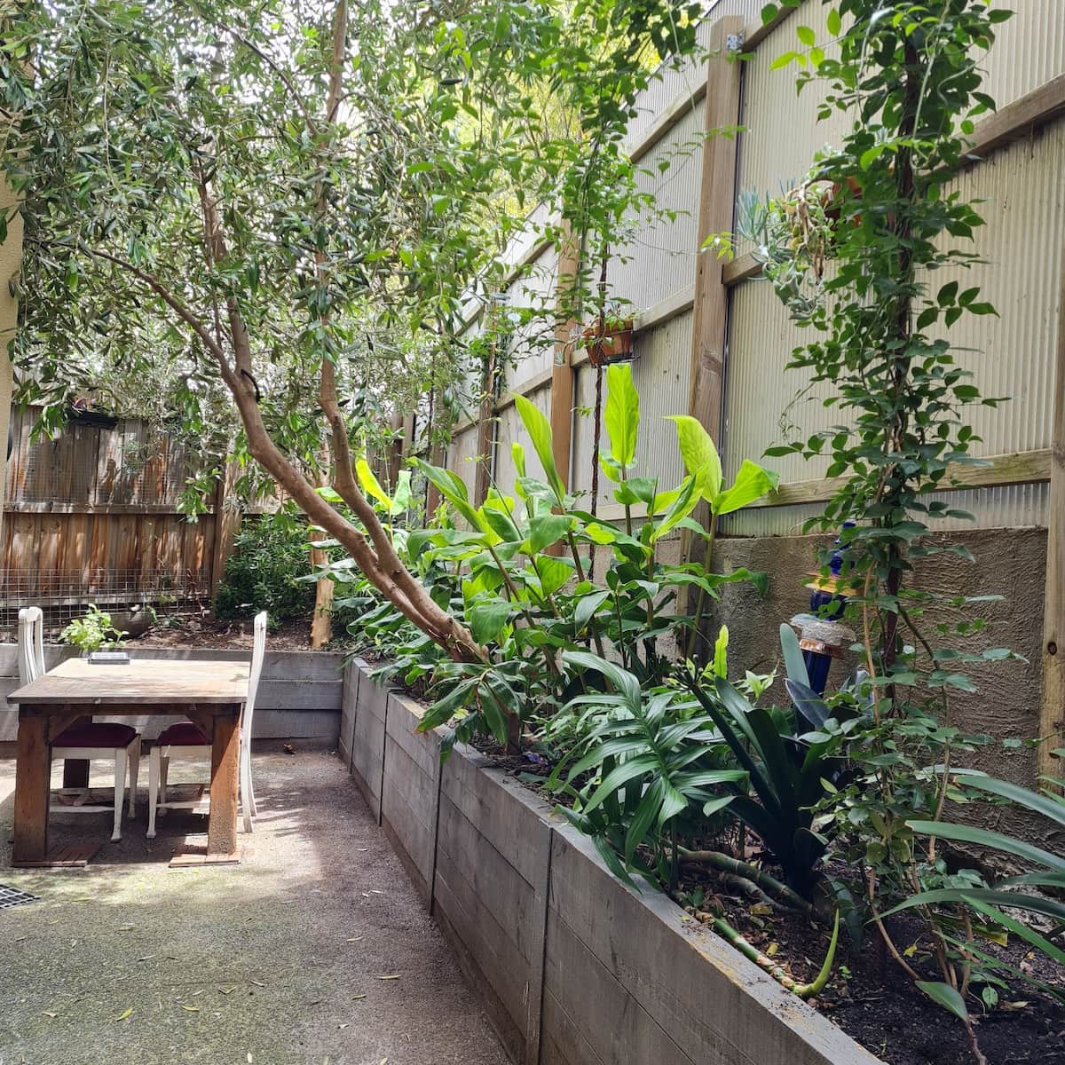The problem care back courtyard 