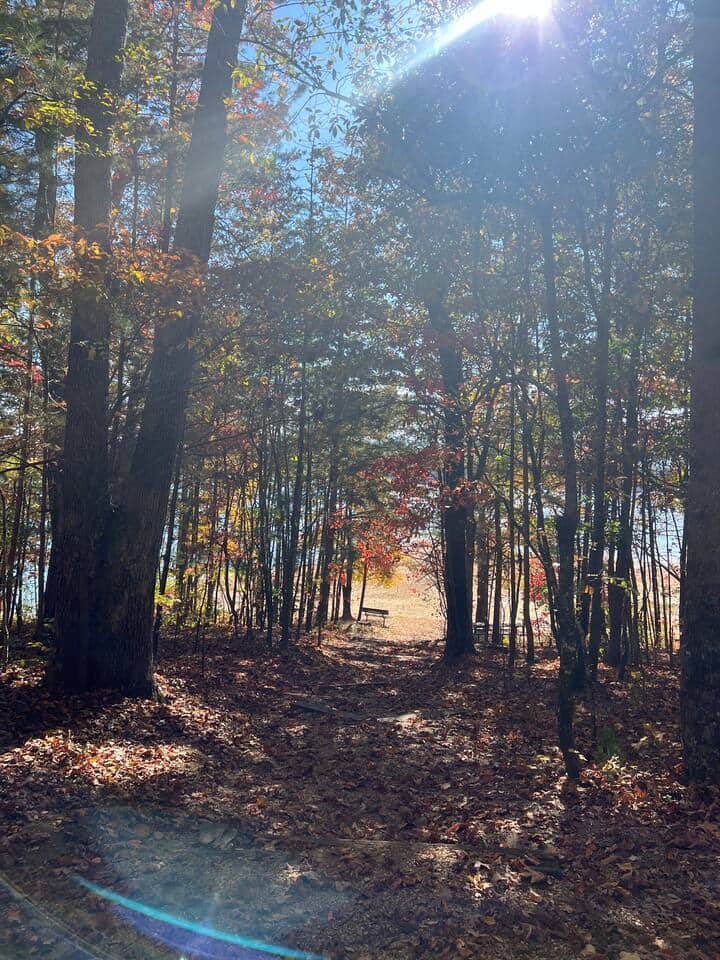 Picnic Area at Morganton Point, a few minutes from THE Georgia House