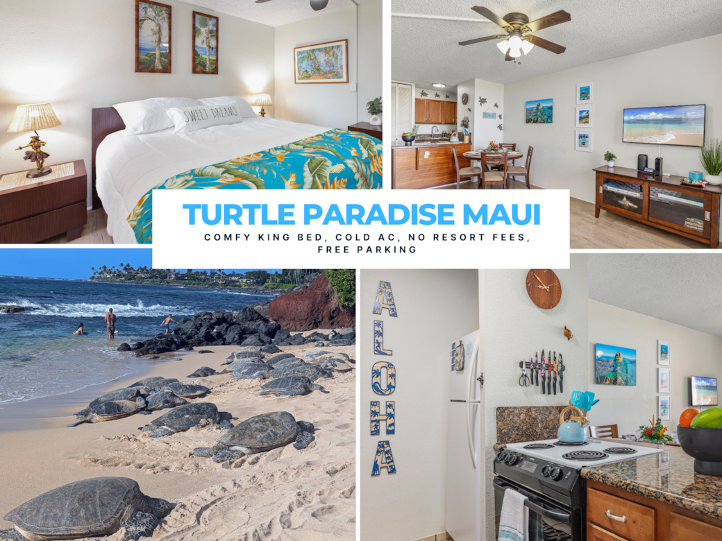 King Bed, Queen Sofabed, No Resort or Parking Fees, Walk to Beach