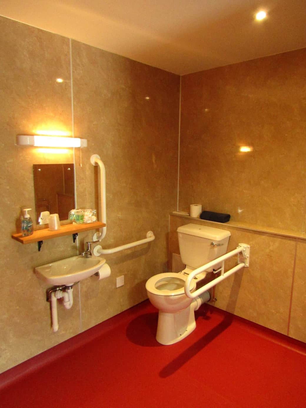 Toilet with grab rail