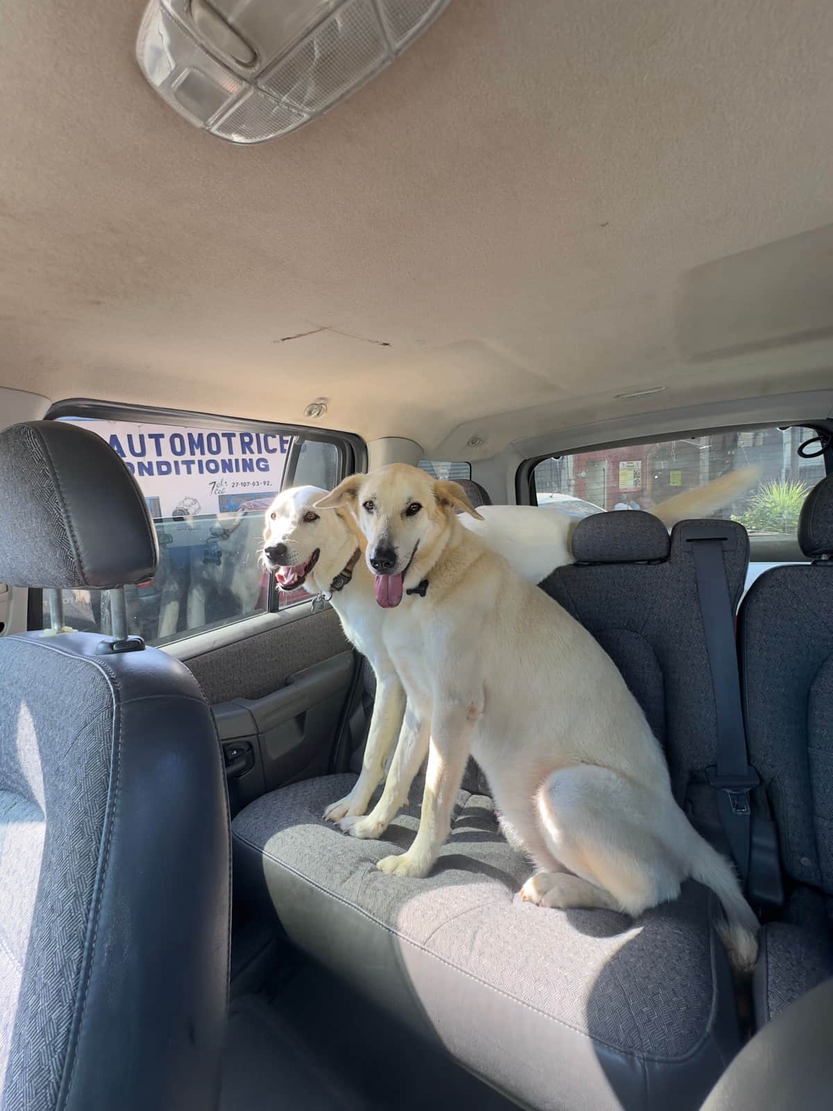 Facebook and Whatsapp in the truck on a car ride