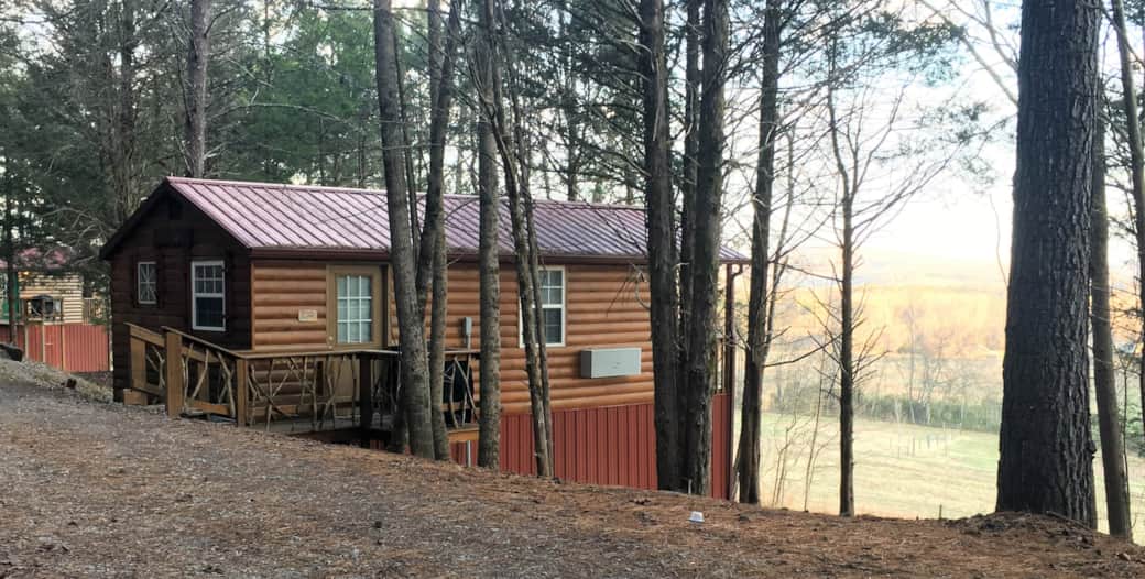 View from Doghouse View from Doghouse