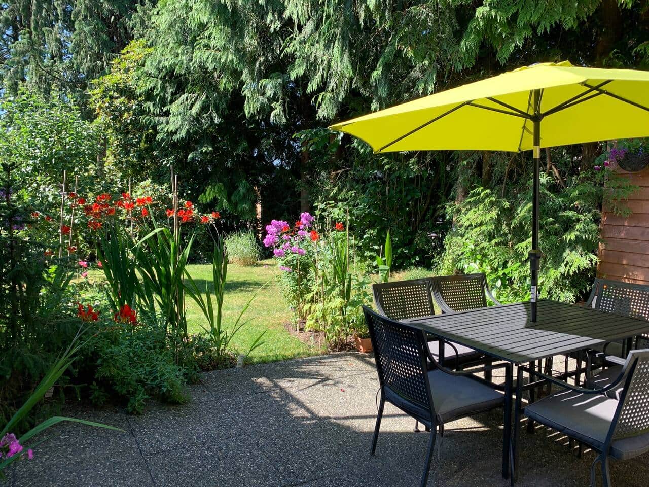 Image Title