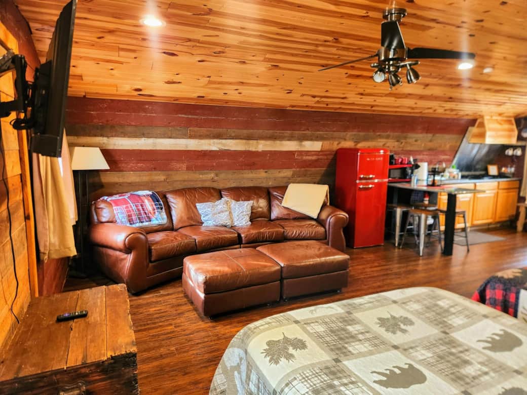 Bed/Living Area 
